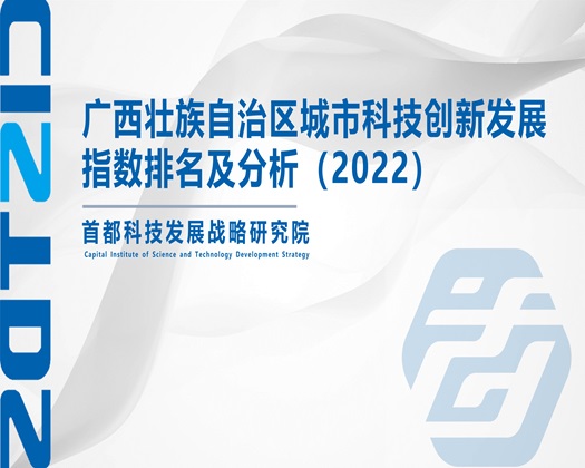 色逼嫩【成果发布】广西壮族自治区城市科技创新发展指数排名及分析（2022）